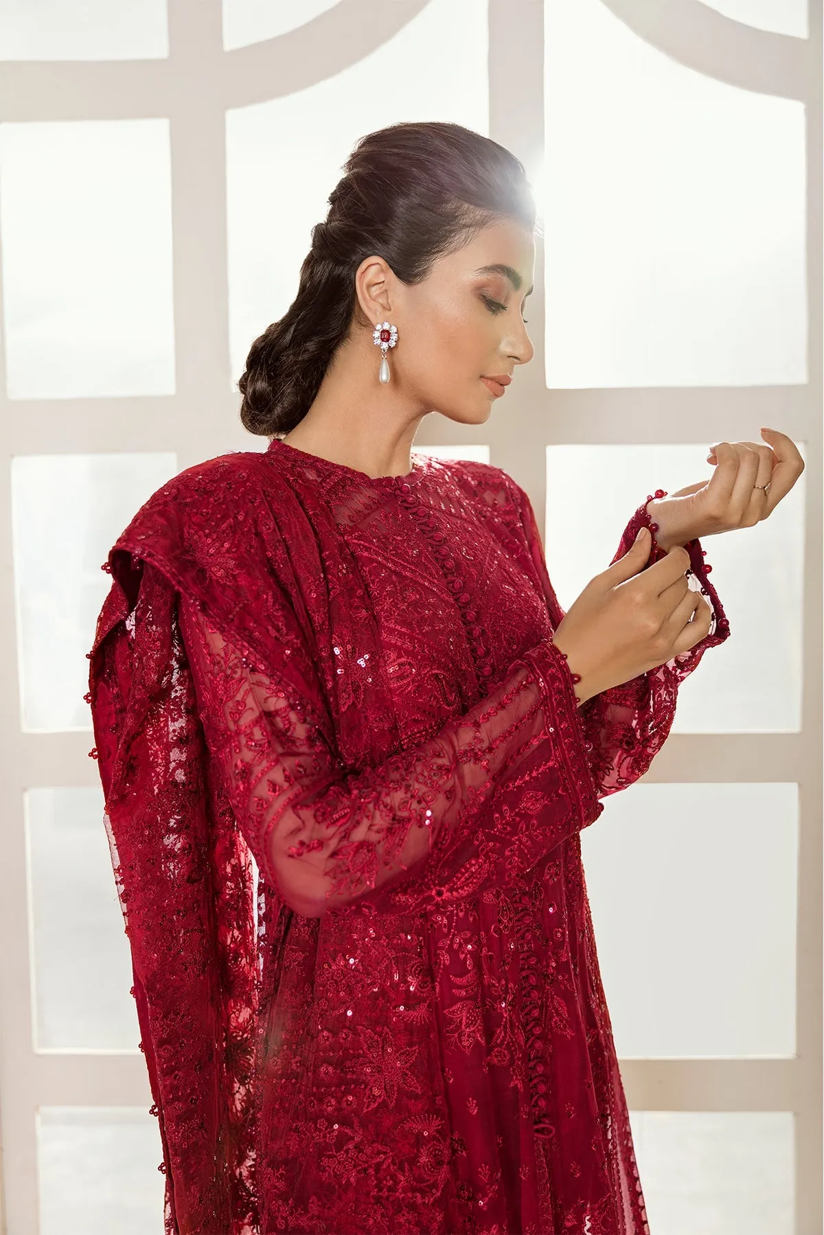 Baroque Luxury Embroidered Chiffon Collection Red Velvet-D37